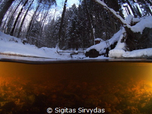 Forest stream in the winter by Sigitas Sirvydas 